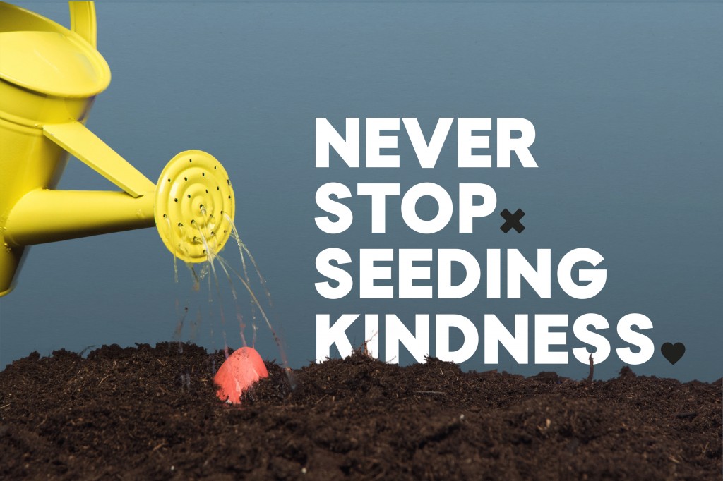 Never stop seeding kindness